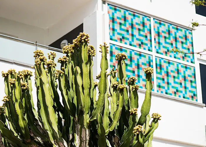 Hotel Axel Maspalomas - Adults Only Playa del Inglés